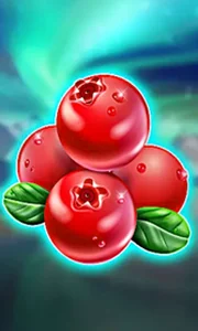 Winterberries